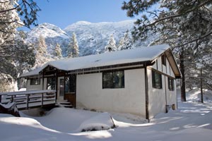 Office Snow