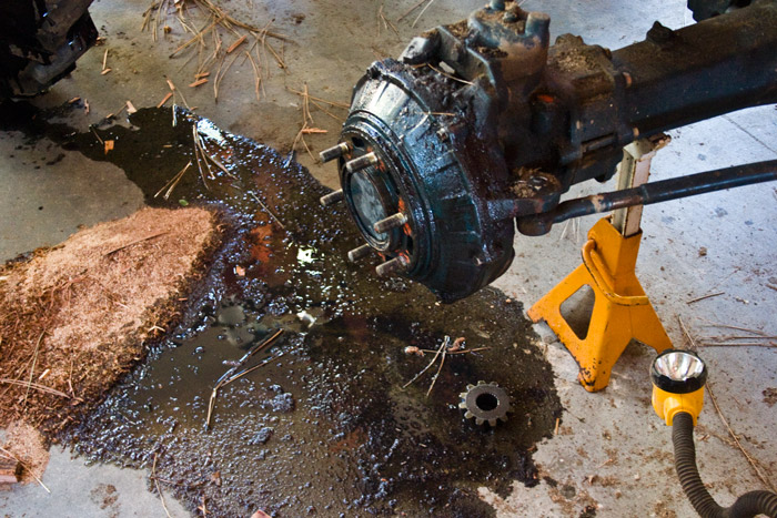Tractor Woe, Bird Woe